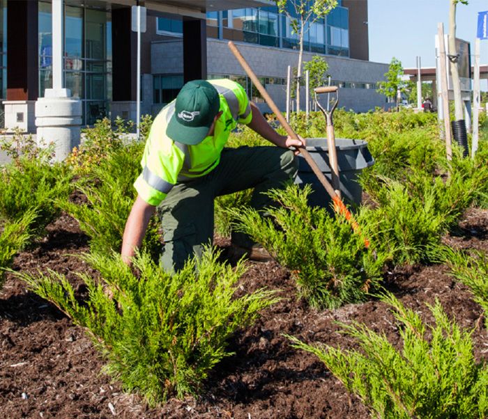 Why Mulch? The 11 Benefits of Mulch