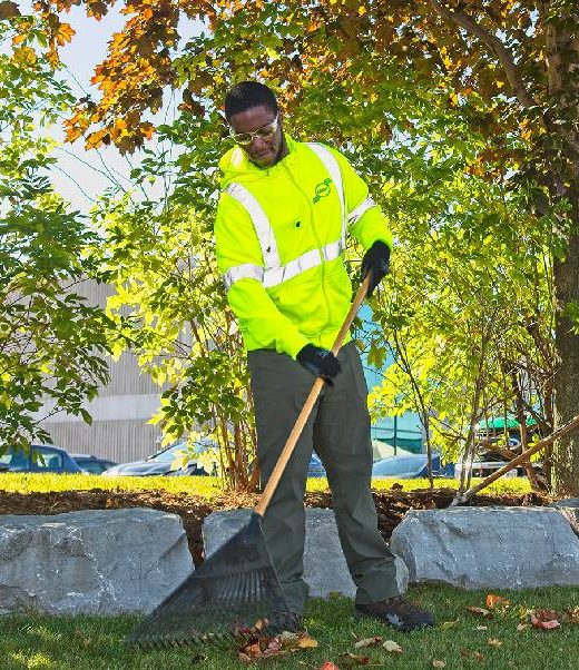 Clintar Fall Cleanup