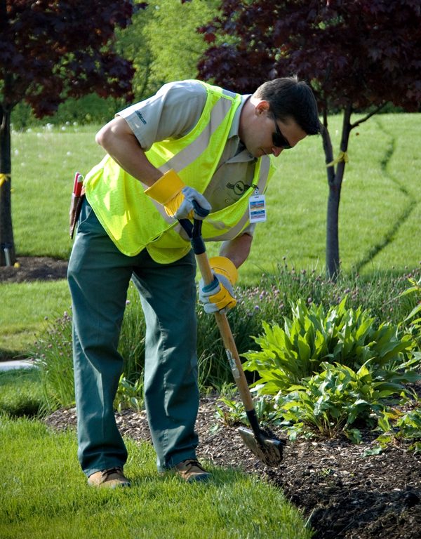 clintar flower bed care mulch