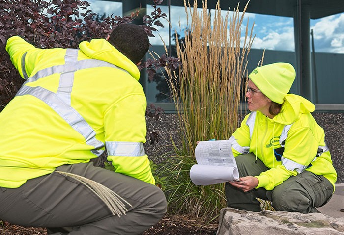 Clintar Landscaping