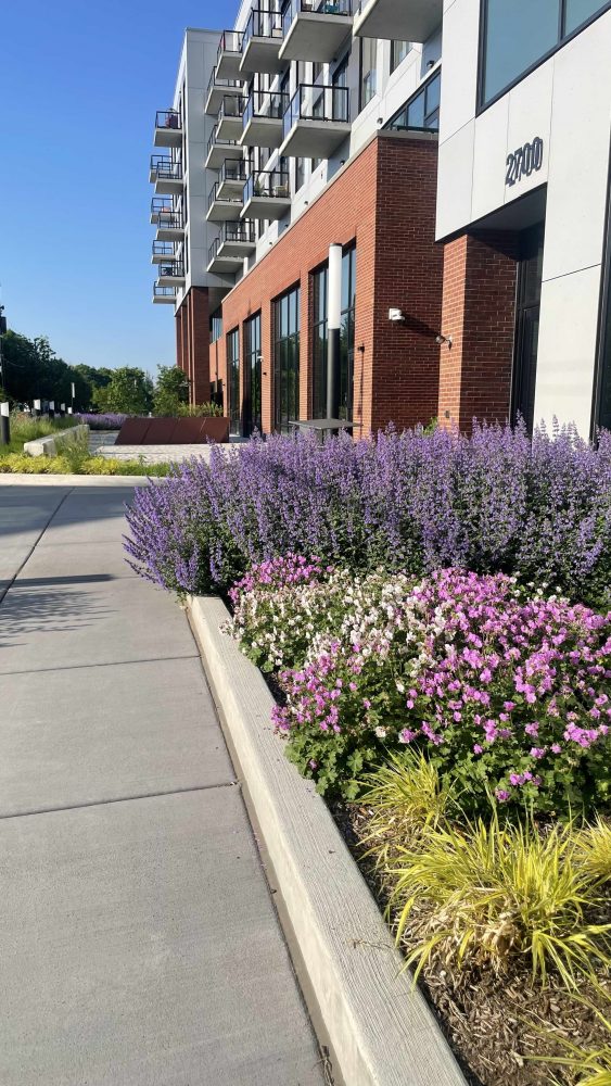 Parking Lot Maintenance