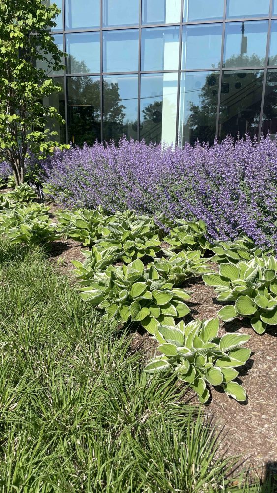 Parking Lot Maintenance