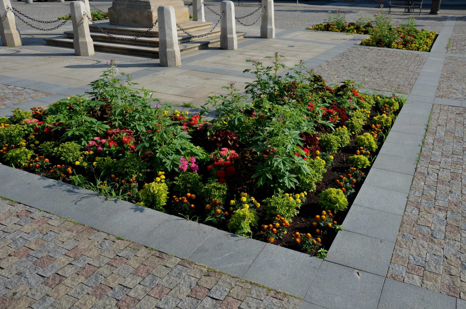 flowerbed with orange and yellow plants