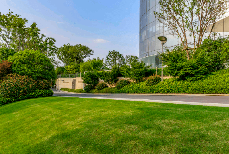 corporate office landscape