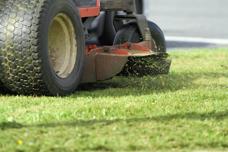 lawn mowing