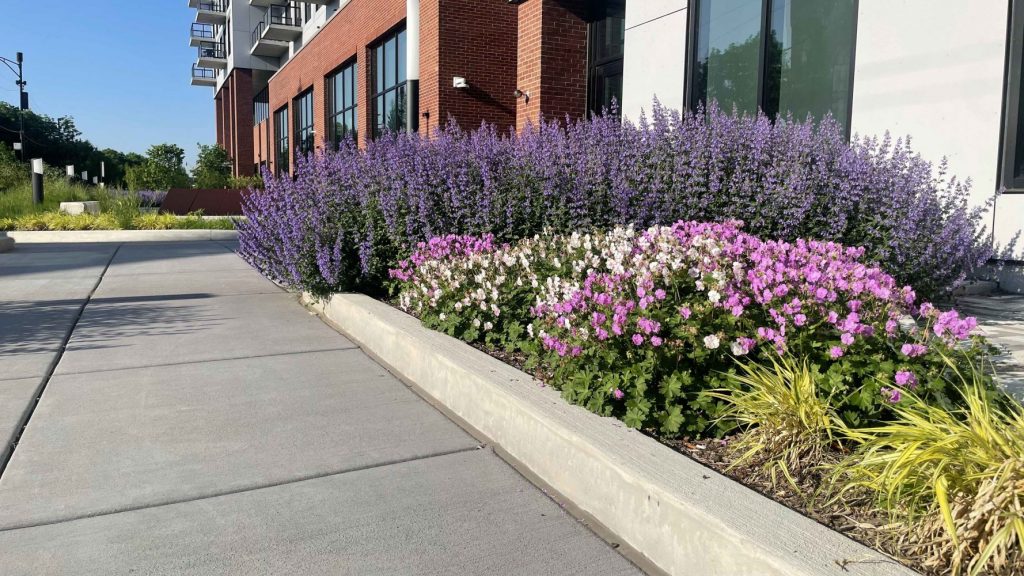 Parking Lot Maintenance