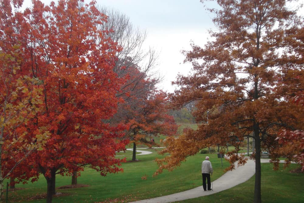 parkwood-08