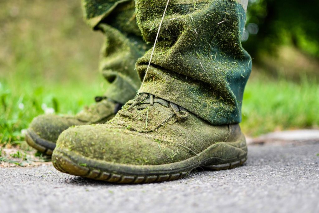 grassy shoes