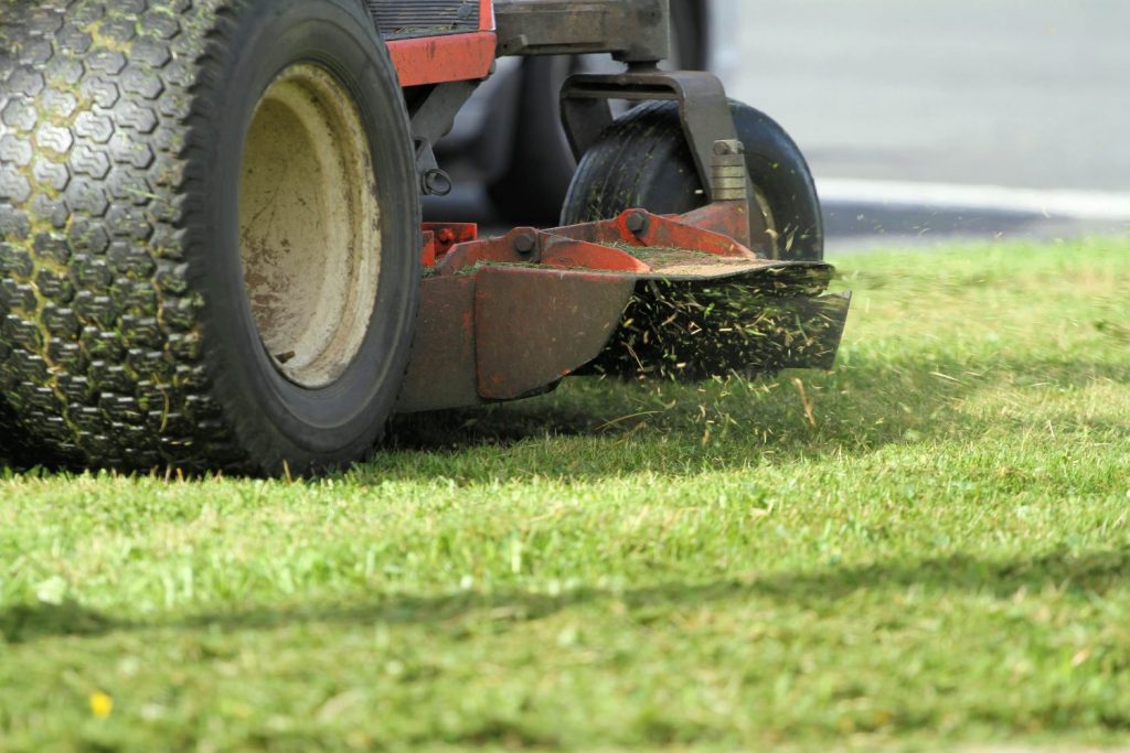 lawn mowing