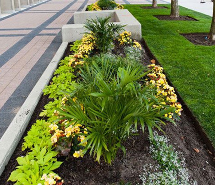 Eco-Friendly Pest Management