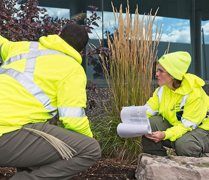 Supporting Safer Businesses with Clintar’s Health and Safety Protocols