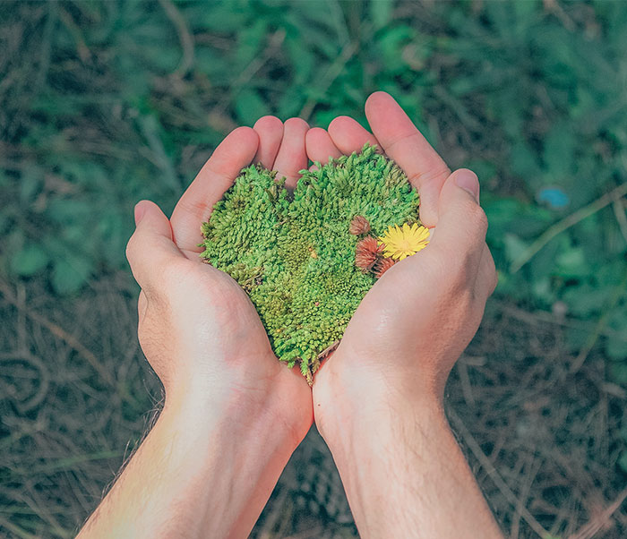 Clintar’s Corporate Social Responsibility Report 2019-2020 is Now Available