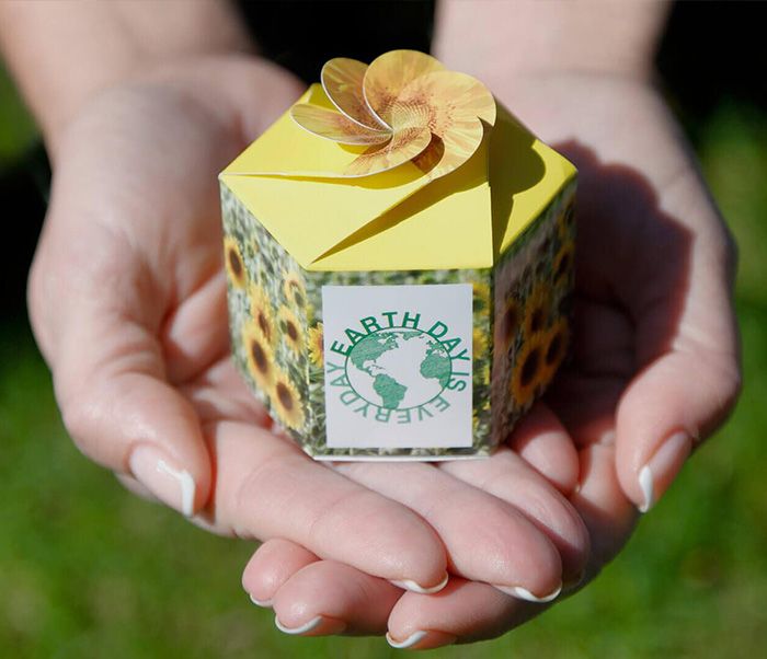 Clintar celebrating Earth Day 2018 with “sunny” donation to Local Schools