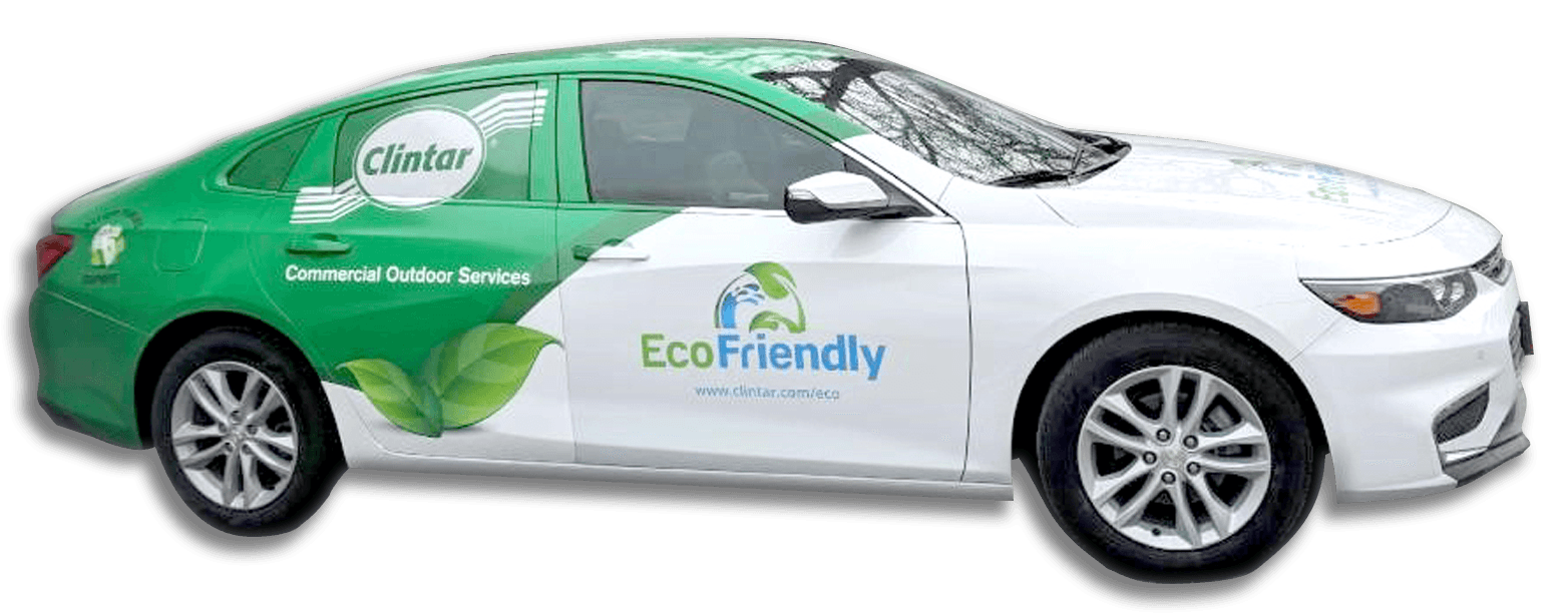 Clintar Eco Friendly Service