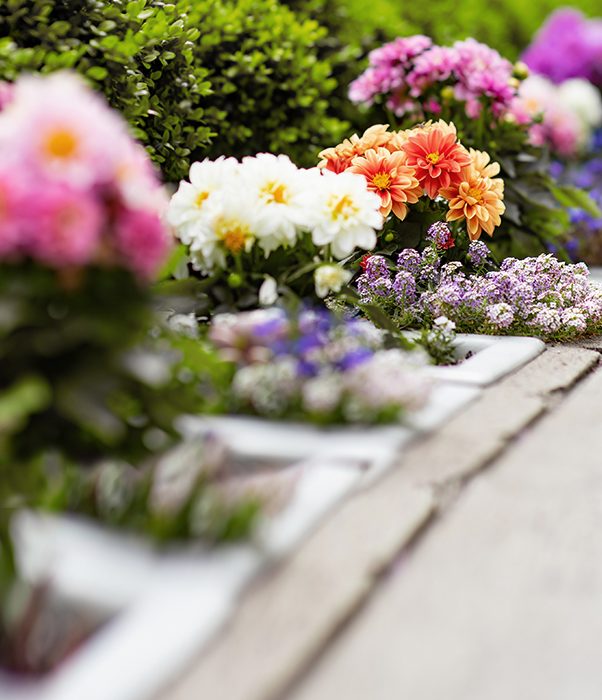 Clintar cultivates the perfect mix of annuals & perennials for your site.