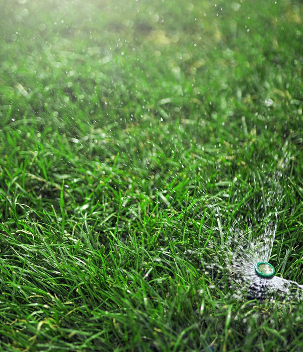 A close-up of green turf being watered by a sprinkler showcasing Clintar’s irrigation management services.