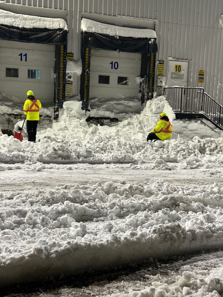 Clintar Team Snow
