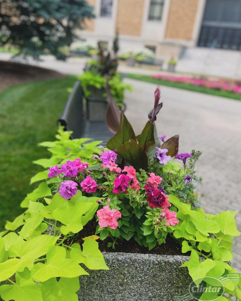 Clintar Landscaping