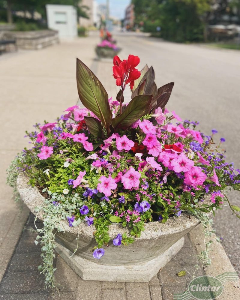 Enhance your property with Clintar’s Landscape Enhancement services.