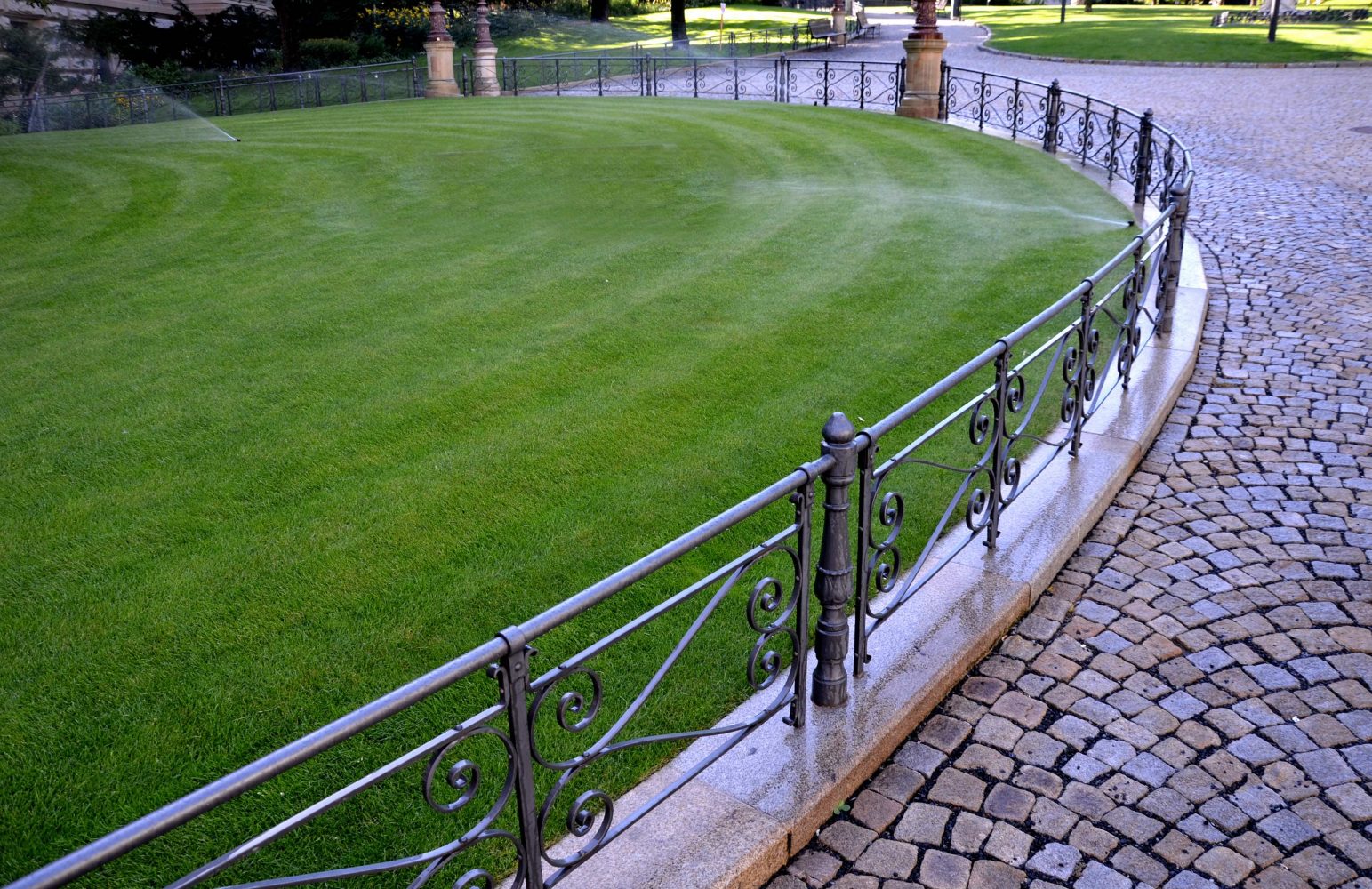 grass next to fence and cobblestone