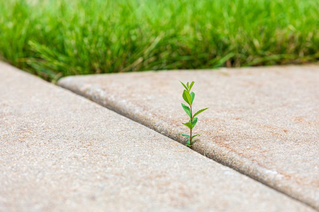 Clintar Landscaping