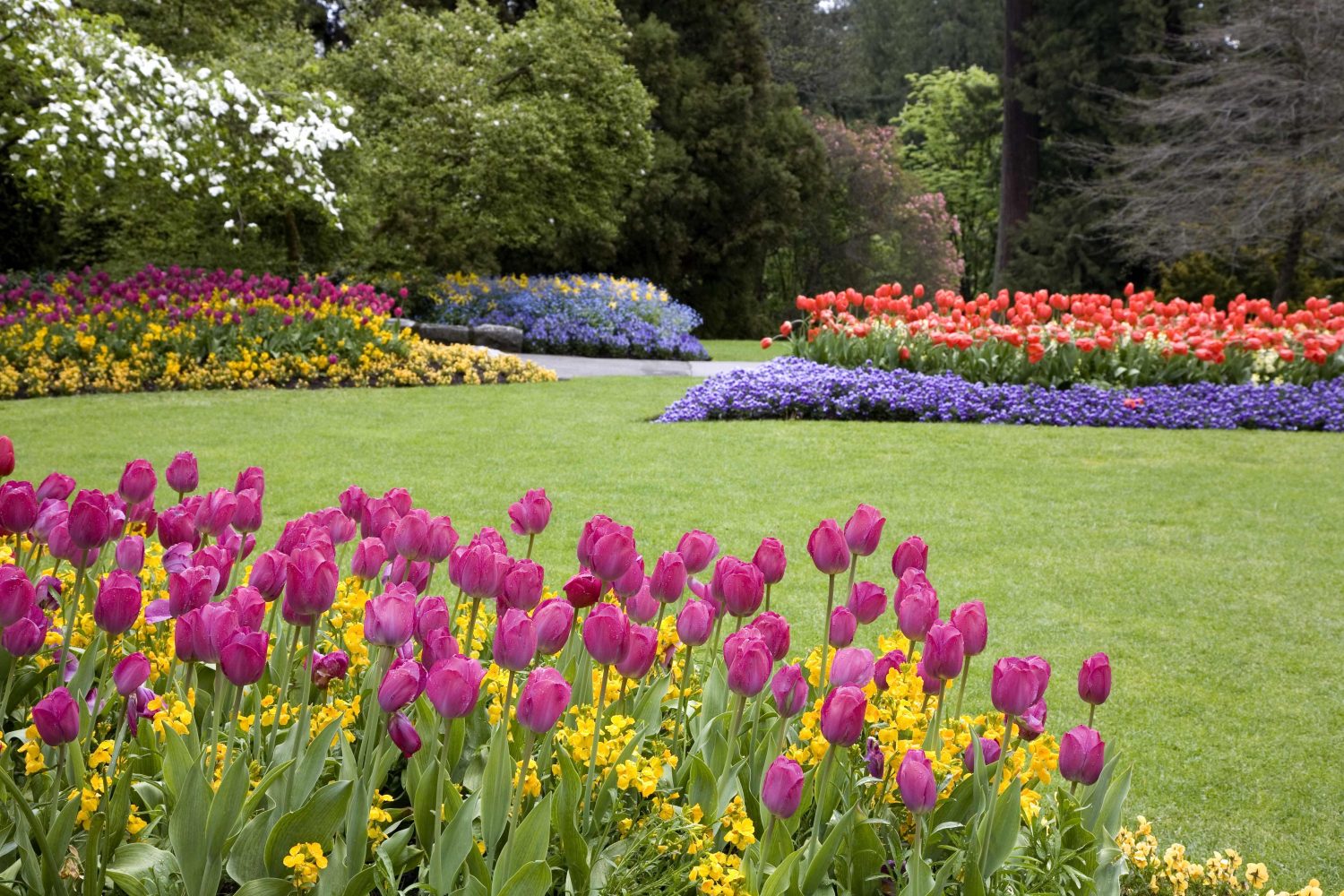 Enhance your property with Clintar’s Landscape Enhancement services.