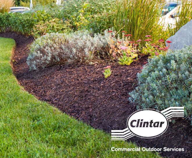 Clintar Weed Control