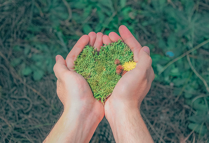 CSR Report