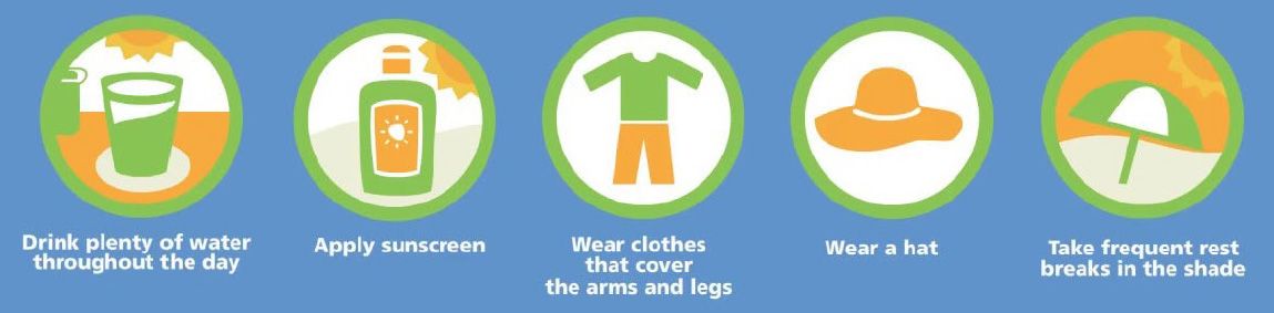 Summer Landscape Overheating Tips