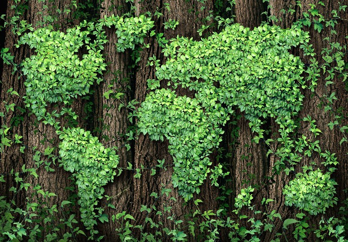 Sustainability